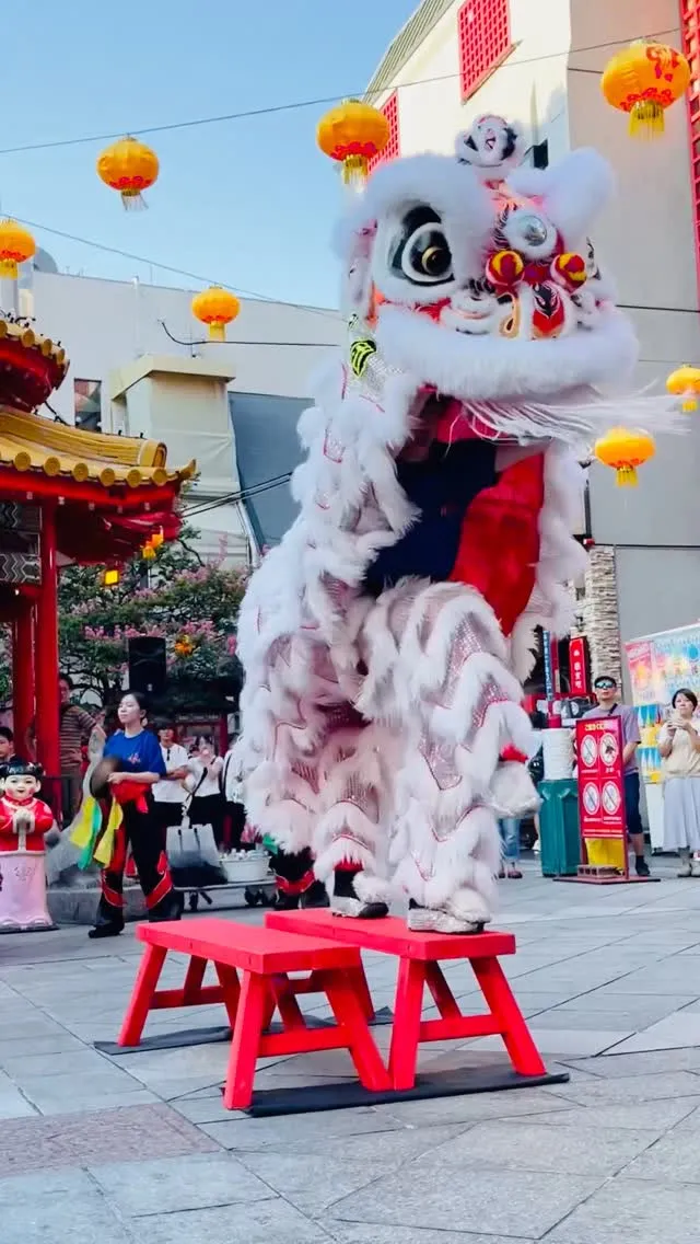 獅子舞演舞　南京町龍獅団